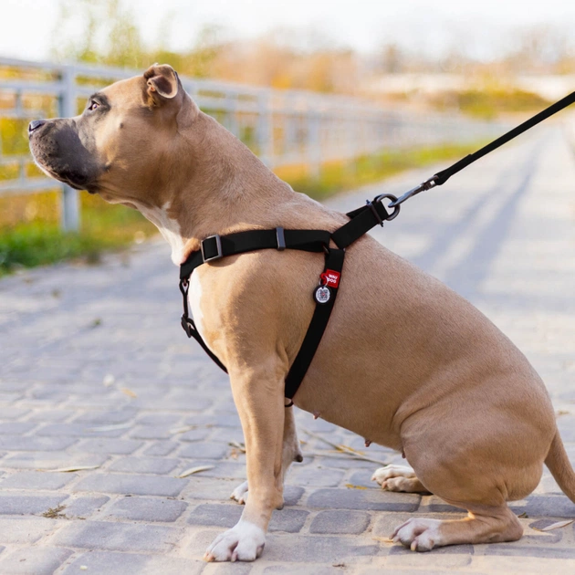 Шлея для собак WAUDOG Waterproof з QR-паспортом XS Ш 15 мм Д 30-39 см чорна (27631) - picture 4