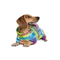Комбінезон для тварин Pet Fashion "PUZZLE" M (4823082422463) - зменшене зображення 2