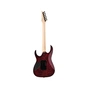 Електрогітара Ibanez RG470DXW-WZM (302352) - зменшене зображення 2