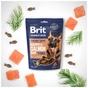 Ласощі для собак Brit Premium Semi-moist Snacks Salmon with Dill напіввологі з лососем і кропом 180 г (8595602573936) - зменшене зображення 2