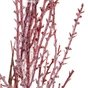 Декоративна гілка YES! Fun Пампасна трава Рожева Засніжена 84 см (974808) - preview 2