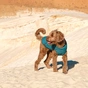 Жилет для тварин Pet Fashion E.Vest морська хвиля XL (4823082424184) - уменьшенное изображение 3