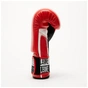 Боксерські рукавички Leone GN208 Iconic Red 10 унцій (GN208_Red_10oz) - зменшене зображення 6