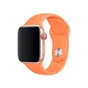 Ремінець до смарт-годинника Apple 40mm Papaya Sport Band - S/M & M/L (MV742ZM/A) - зменшене зображення 1