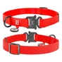 Нашийник для тварин WAUDOG Waterproof з QR паспортом XL Ш 25 мм Д 35-58 см(червоний) (27843) - зменшене зображення 4