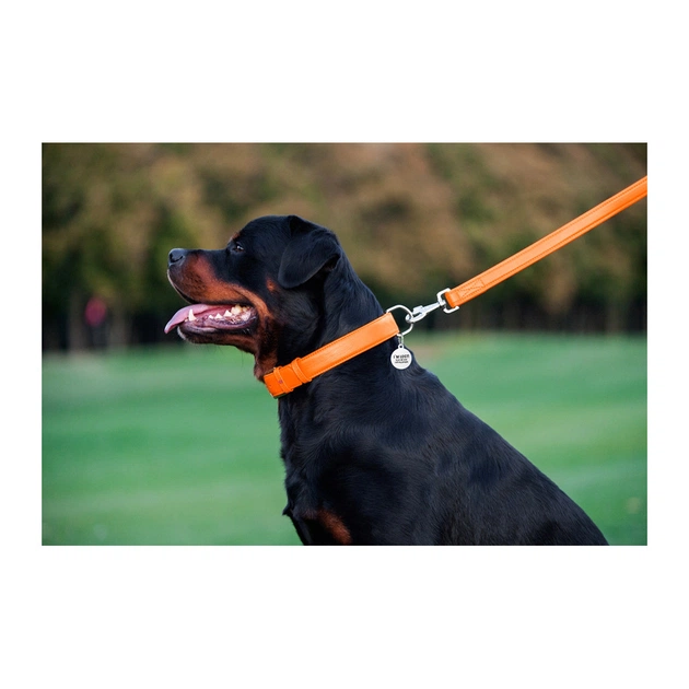 Повідець для собак WAUDOG Glamour шкіряний M-XXL помаранчевий (33764) - picture 8