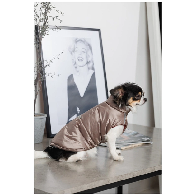 Жилет для тварин Pet Fashion Hardy XL (4823082437450) - picture 6