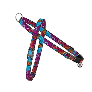 Шлея для собак WAUDOG Nylon з QR-паспортом "Літо" S (5472) зображення 1