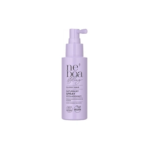 Спрей для волосся Neboa Glossy Hair Розгладжувальний 100 мл (5903794198166) зображення 1