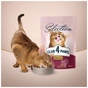 Сухой корм для кошек Club 4 Paws Premium Selection с индейкой и овощами 1.5 кг (4820215369138) - уменьшенное изображение 7