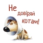Книга Не довіряй котам. Життєва мудрість від песика Чіпа - Дев Петті Видавництво РМ (9786178603212) - зменшене зображення 6
