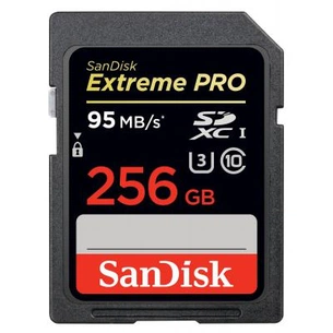 Карта пам'яті SanDisk 256GB SDXC Extreme Pro UHS-I U3 Class10 (SDSDXPA-256G-G46) зображення 1