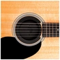 Супресор для гітари D'Addario Screeching Halt Soundhole Plug (PW-SH-01) - зменшене зображення 2