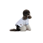Футболка для тварин Pet Fashion Polo XS2 (4823082446384) - зменшене зображення 2