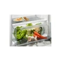 Холодильник Electrolux LRB3AE12S - зменшене зображення 3