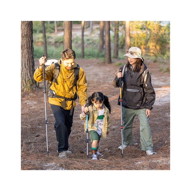 Трекінгові палиці Naturehike 1шт ST 01 6061 AL NH17D001-Z золотиста (6975641885658) - picture 4