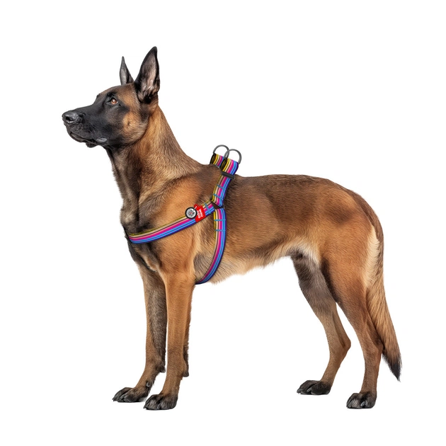 Шлея для собак WAUDOG Nylon з QR паспортом "Лінія 1" пластиковий фастекс XL (324-0006) - picture 3