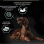 Сухий корм для собак Purina Pro Plan Large Athletic Adult 2+ Sensitive Digestion Для великих порід атлетичної статури З ягням 14 кг (7613035415591) - preview 6