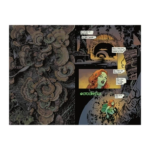 Комікс Отруйний плющ. Книга 1. Непорочне коло - Ґвендолін Віллов Вілсон Видавництво РМ (9786178373337) зображення 1