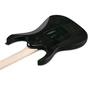 Електрогітара Ibanez RG450QMB-TGB (302353) - зменшене зображення 5