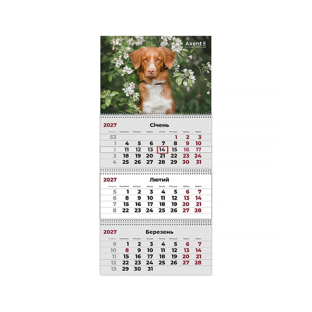 Календар Axent настінний квартальний 2027 рік 3 пр. Dogs 2 (8803-27-11-A) - зображення 1
