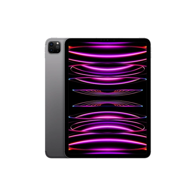 Планшет Apple iPad Pro 11" M2 WiFi + LTE 1TB Space Grey (MNYJ3RK/A) - зображення 1