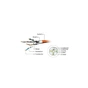 Патч-корд Cablexpert 2м S/FTP Cat 6A CU LSZH yellow (PP6A-LSZHCU-Y-2M) - уменьшенное изображение 3