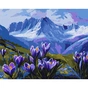 Картина по номерам Santi Гірські квіти 40*50 см (954813) - зменшене зображення 1