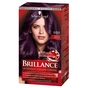 Фарба для волосся Brillance 888-Темна вишня 142.5 мл (4015000509824) - зменшене зображення 1
