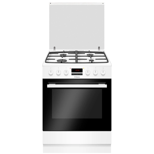 Плита Hansa FCMW68229 - зображення 1