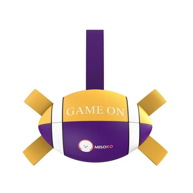 Игрушка для собак MISOKO&CO Надувной мяч в форме мяча для регби фиолетовый с желтым 41 см (KINMSK70118) - изображение 1