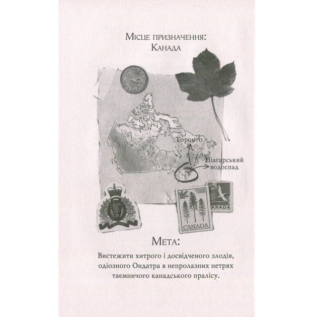 Книга Агата Містері. Крадіжка на Ніагарському водоспаді. Книга 4 - Сер Стів Стівенсон Видавництво РМ (9786178639556) - изображение 3
