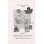 Книга Агата Містері. Крадіжка на Ніагарському водоспаді. Книга 4 - Сер Стів Стівенсон Видавництво РМ (9786178639556) - preview 3