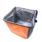Термосумка Thermo Icebag 12 (4820152611659) - уменьшенное изображение 2