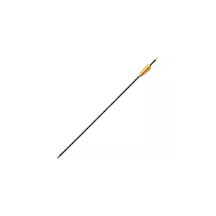 Стріла Poe Lang Fiberglass 30" Black (D-065) зображення 1