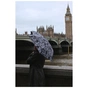 Парасоля Fulton L501-042311 Tiny-2 London Sketch (L501-042311) - зменшене зображення 6