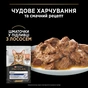 Вологий корм для кішок Purina Pro Plan Adult Indoor Nutrisavour Для кішок, що живуть у приміщенні З лососем 85 г (8445290172990) - preview 3
