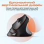 Мишка Meetion BTM010R RGB Bluetooth/Wireless Black (MT-BTM010R-A) - зменшене зображення 5