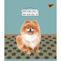 Зошит Yes А5 Dogs 24 аркушів клітинка (766834) - зменшене зображення 2