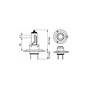 Автолампа Bosch галогенова 55W (1 987 301 012) - уменьшенное изображение 5