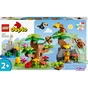 Конструктор LEGO DUPLO Дикі тварини Південної Америки (10973) - зменшене зображення 1