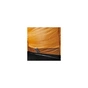 Намет Wechsel Intrepid 4 TL Laurel Oak (231068) (DAS301734) - уменьшенное изображение 20