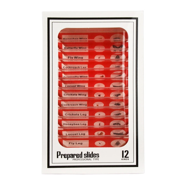 Набір мікропрепаратів Sigeta Entrance Будова комах (12 шт) (65122) - picture 3