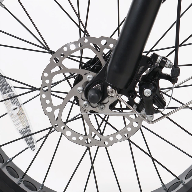 Електровелосипед Maxxter URBAN MAX 350 Вт - picture 12