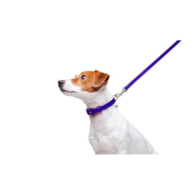 Повідець для собак WAUDOG Glamour шкіряний XS фіолетовий (33729) - зображення 5