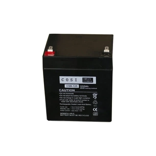 Батарея до ДБЖ COSI AGM 12V 5Ah F1 (CSB-125) зображення 1