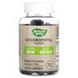 Вітамінно-мінеральний комплекс Nature's Way Хлорофіл, 100 мг, смак фруктів, Chlorophyll Gummies, 60 жувальні (NWY-14260) - зменшене зображення 1