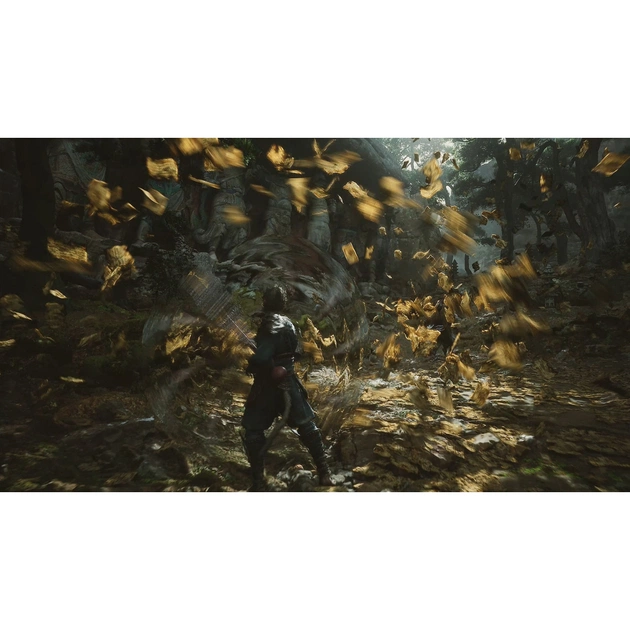 Гра Sony Black Myth: Wukong, BD диск (5056635611864) - picture 5