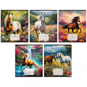 Зошит 1 вересня 1В Stronger than the storm 36 аркушів лінія (767350) зображення 1