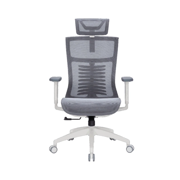 Офисное кресло OfficePro Balance OC620-W-DG-DG (OC620-W-DG-DG) - изображение 1